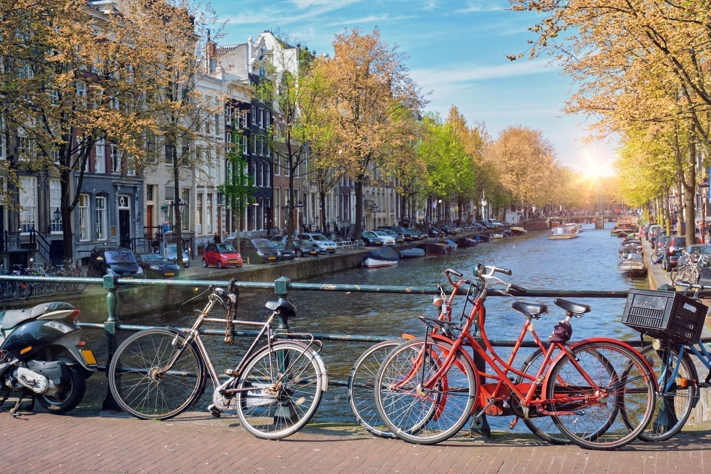 escorted tours netherlands