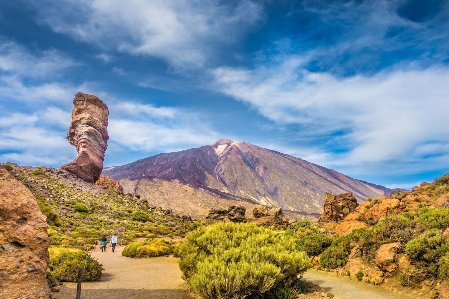 tenerife trips out