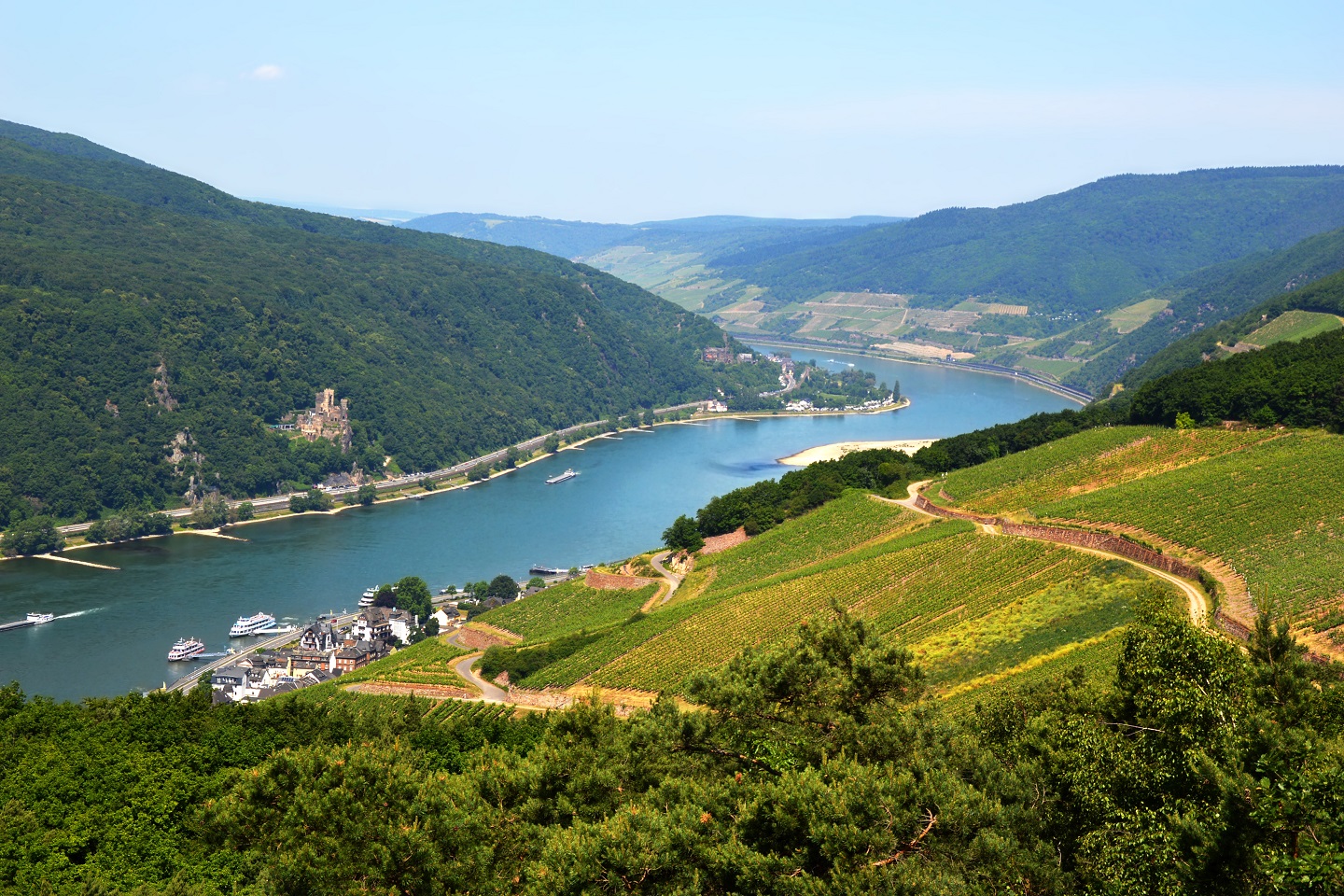 rhine valley tour from cologne