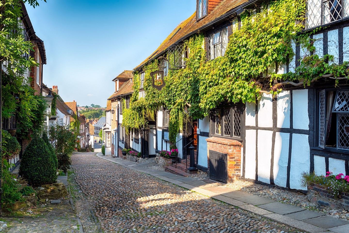 Best London to Rye Day Trip. Save - 60%